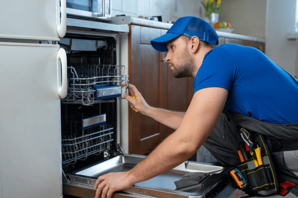 Professional Support from Romano Appliance Repair